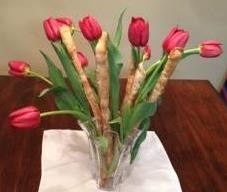 GRISSINI-TULIPS2_crop